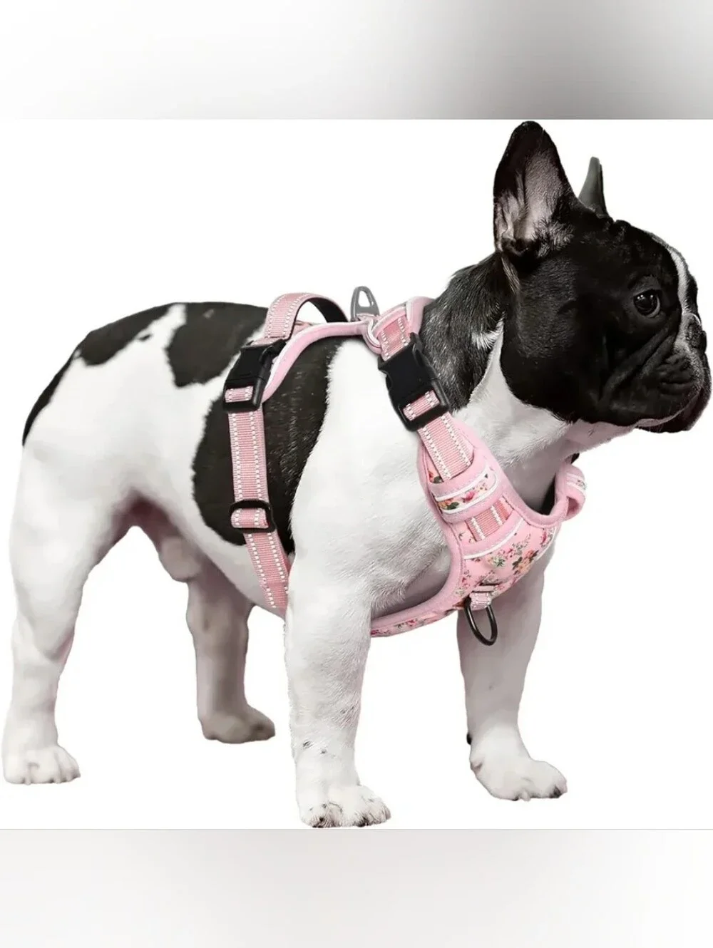 Timos Dog Harness, No Pull No Choke, Easy On & Off, Flower Pink, Small